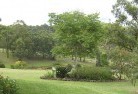 Rowanresidential-landscaping-40.jpg; ?>